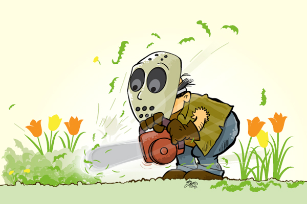 Illustration of masked guy trimming tulips using chainsaw